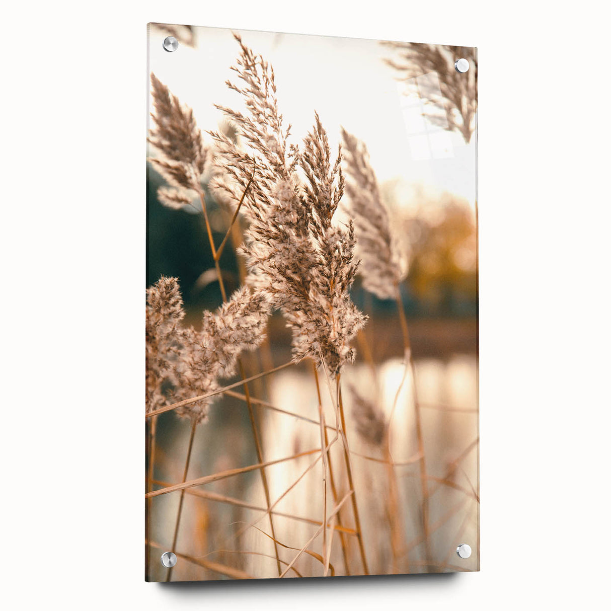 Large abstract wall art on acrylic glass depicting vibrant summer hues, ideal for bedroom or dining room decor.