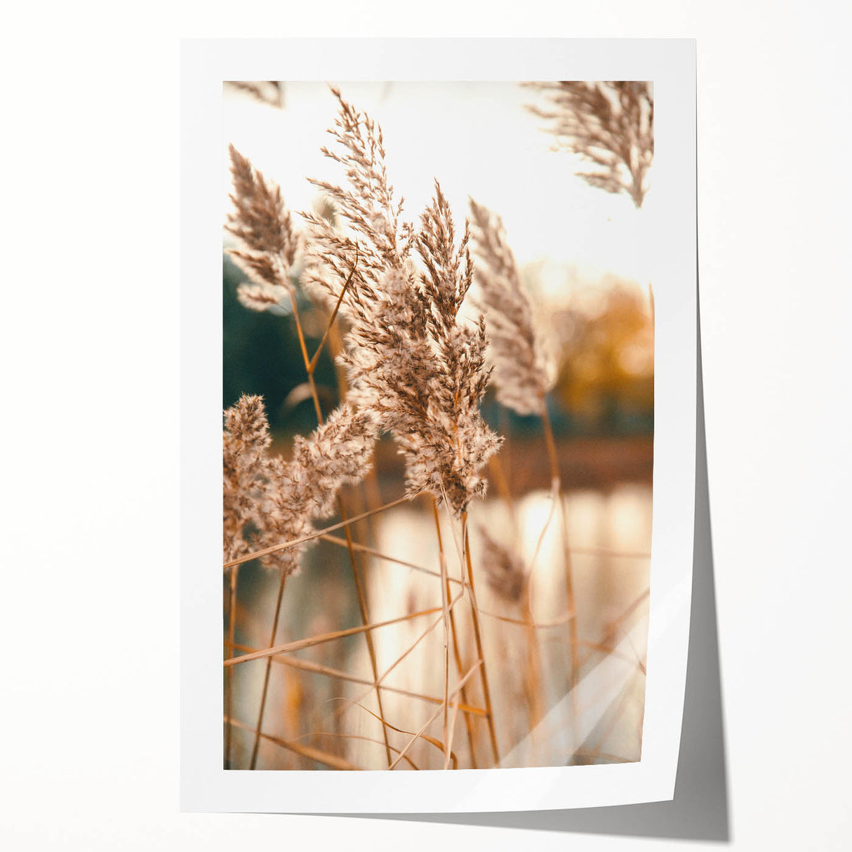 Extra large rolled print featuring a vibrant floral design with summer hues, ideal for art wall dining room.