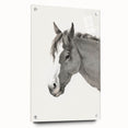 Romanticism Art: Horse Portrait by Jean Bernard Canvas Print