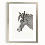 Romanticism Art: Horse Portrait by Jean Bernard Canvas Print