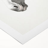 Romanticism Art: Horse Portrait by Jean Bernard Canvas Print