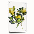 Acrylic print of large abstract fruit motifs in vibrant colors, ideal for dining room decor.