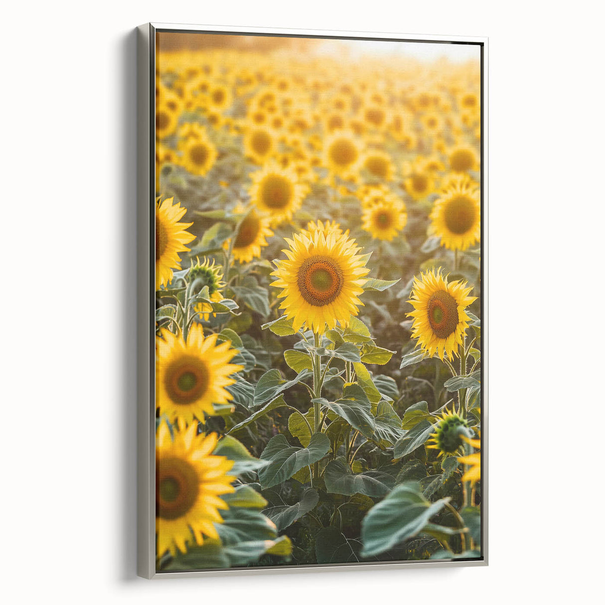 Framed canvas artwork showcasing a serene countryside landscape, featuring vibrant greens and soft blue skies, complemented by a sleek silver frame.