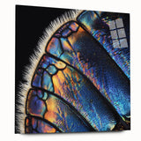 Large abstract wall art featuring close-ups of animals in muted earth tones on acrylic glass.