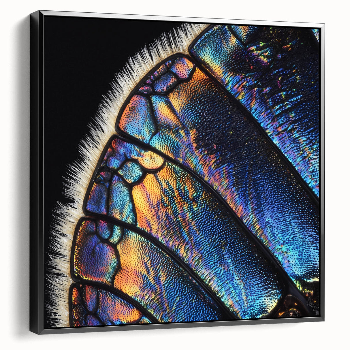 Black and white framed canvas featuring a close-up of an animal in a vintage poster style, suitable for bedroom wall decor.