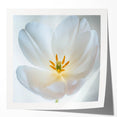 Close-up floral art on glossy photo paper, featuring vibrant greens and pinks, suitable for dining room or bathroom decor.