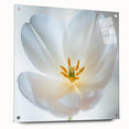 Large abstract floral design in vibrant colors on acrylic glass, suitable for bedroom or dining room decor.