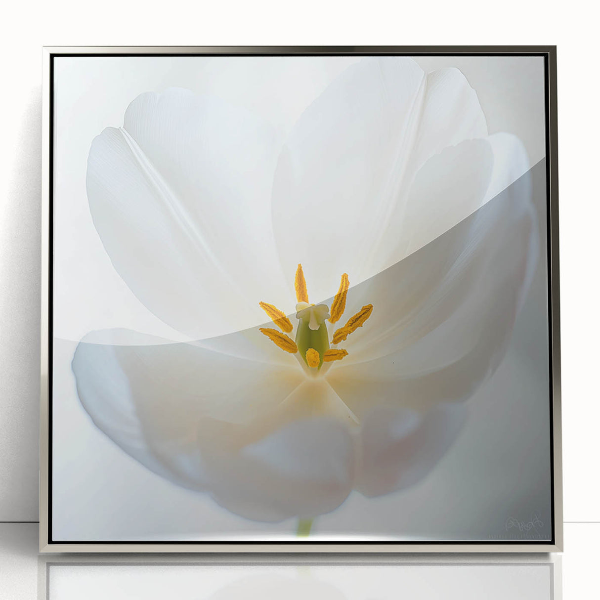 Mid-century modernist art depicting close-up floral designs in vibrant colors on a framed acrylic.
