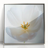 Mid-century modernist art depicting close-up floral designs in vibrant colors on a framed acrylic.