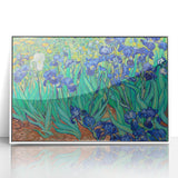 Impressionism Wall Art - Irises by Van Gogh Print