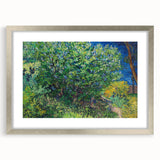 Impressionism Wall Art - Lilac Bush by Van Gogh Print