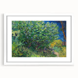Impressionism Wall Art - Lilac Bush by Van Gogh Print