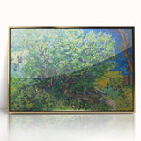 Impressionism Wall Art - Lilac Bush by Van Gogh Print