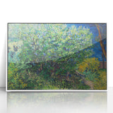Impressionism Wall Art - Lilac Bush by Van Gogh Print