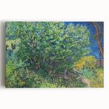 Impressionism Wall Art - Lilac Bush by Van Gogh Print
