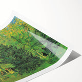 Impressionist Landscape Wall Art - Olive Trees by Van Gogh Print