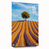 Vibrant acrylic landscape artwork displayed in a clear glass frame, showcasing lush green fields and a serene sky, secured with stylish pins for a modern touch.