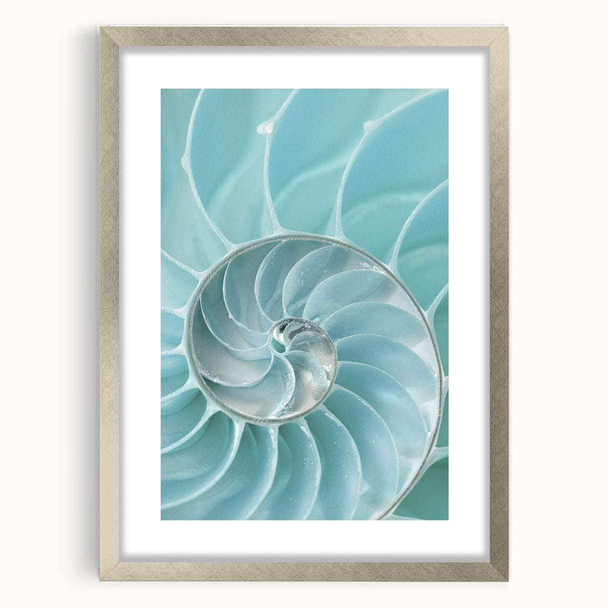 Ocean Elegance Canvas - Nautilus Shell Wall Art for Coastal Decor