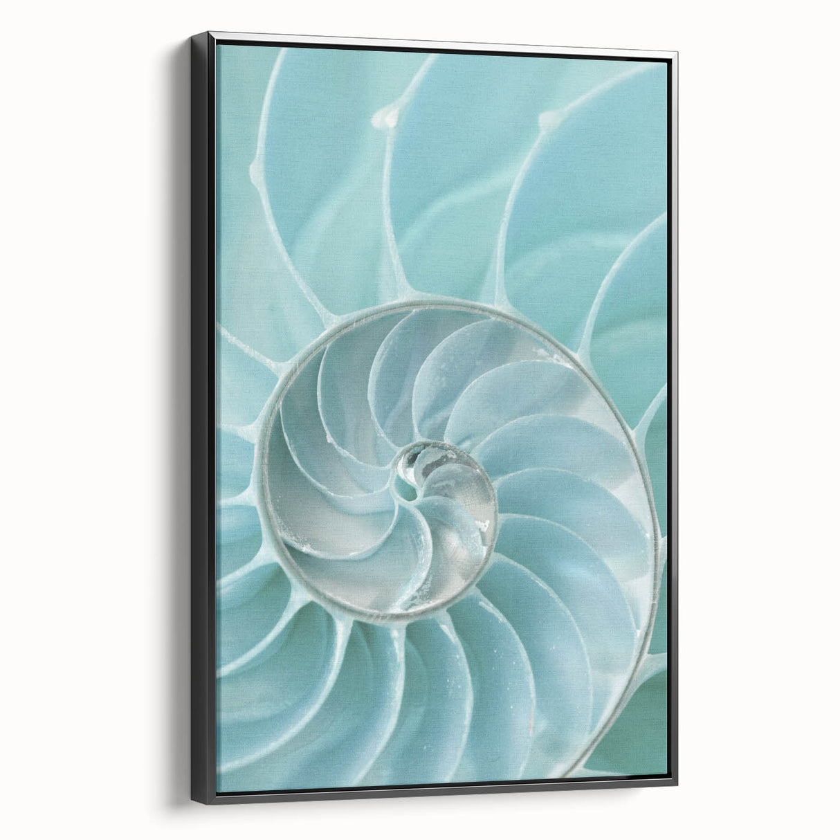 Ocean Elegance Canvas - Nautilus Shell Wall Art for Coastal Decor
