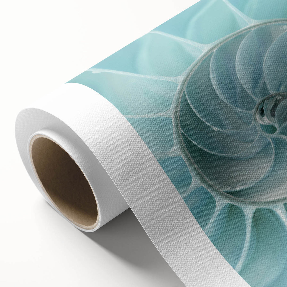 Ocean Elegance Canvas - Nautilus Shell Wall Art for Coastal Decor