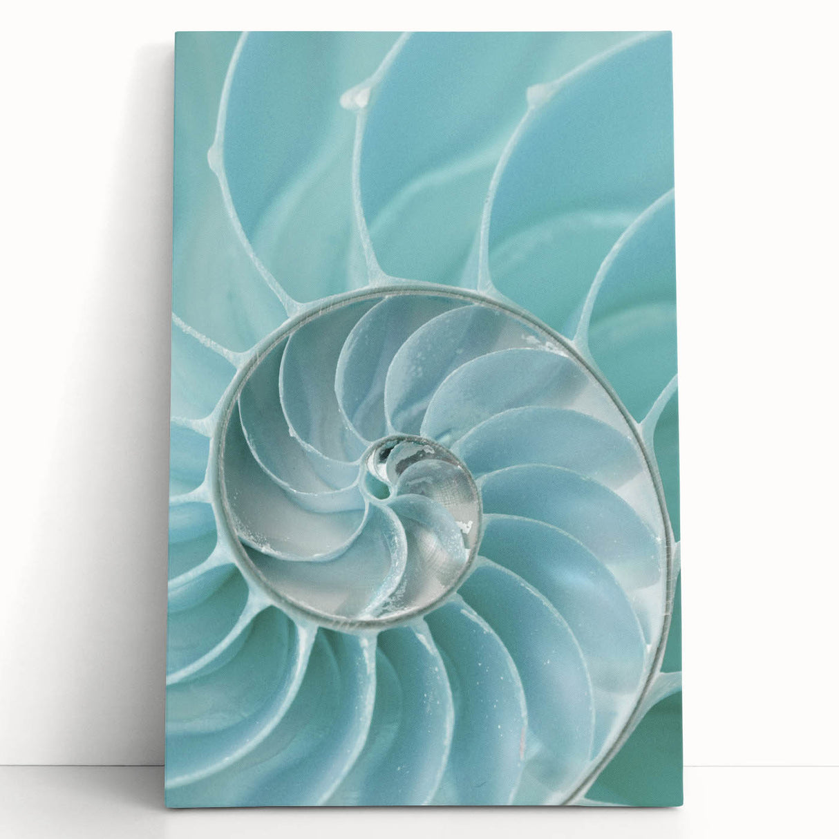 Ocean Elegance Canvas - Nautilus Shell Wall Art for Coastal Decor