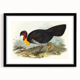 Famous Romantic Era Art: Brush Turkey Romanticism Art on Canvas