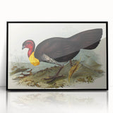 Famous Romantic Era Art: Brush Turkey Romanticism Art on Canvas