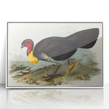 Famous Romantic Era Art: Brush Turkey Romanticism Art on Canvas