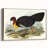 Famous Romantic Era Art: Brush Turkey Romanticism Art on Canvas