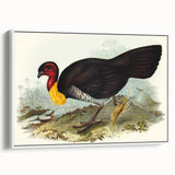 Famous Romantic Era Art: Brush Turkey Romanticism Art on Canvas