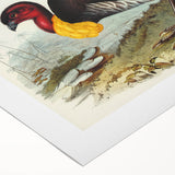 Famous Romantic Era Art: Brush Turkey Romanticism Art on Canvas