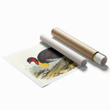 Famous Romantic Era Art: Brush Turkey Romanticism Art on Canvas