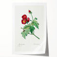 Neoclassical Art Prints: Purple Mallow by Pierre-Joseph Redouté