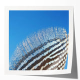 Extra large glossy photo print of a close-up floral image in vibrant colors, ideal for art wall dining room or bathroom.