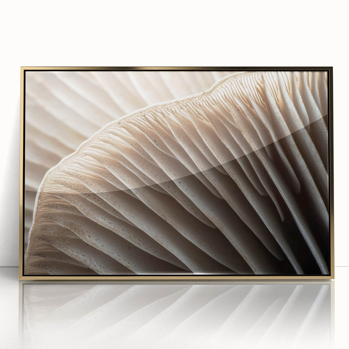 Large art print of close-up floral imagery in soft pastel shades on a framed acrylic, ideal for modern nursery decor.