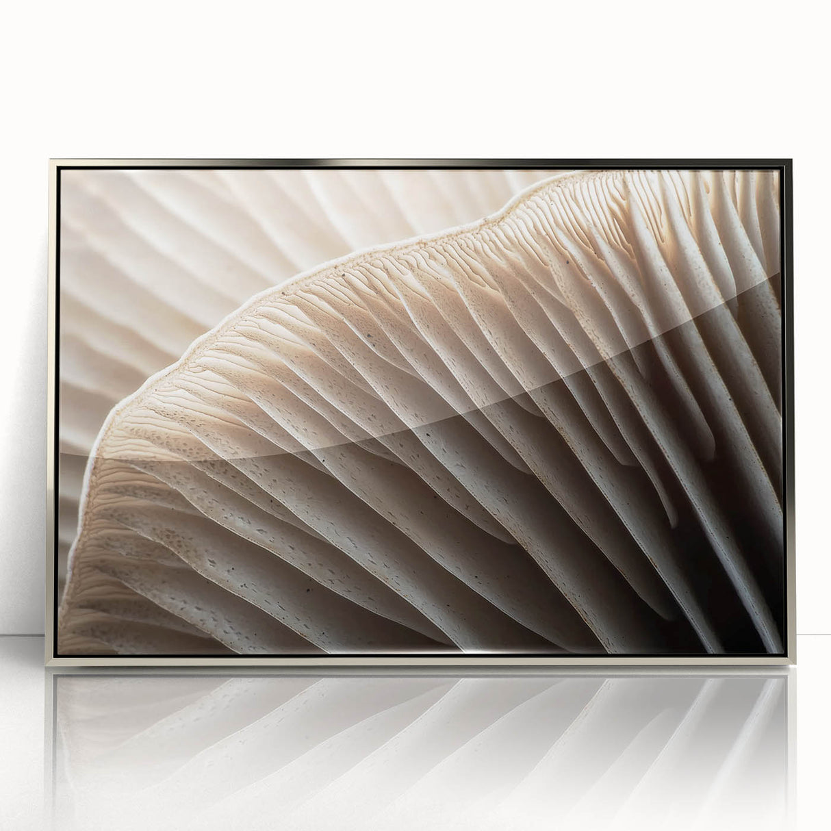 Mid-century modernist art of vibrant florals in silver acrylic frame, ideal for nursery wall art.