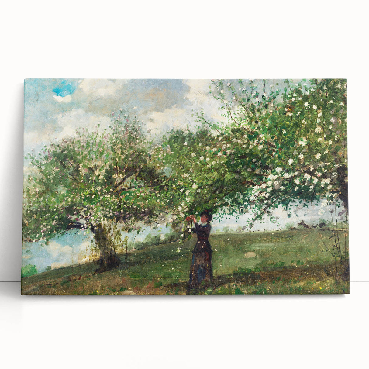 Charming Realism Art Print | Girl Picking Apple Blossoms by Winslow Homer