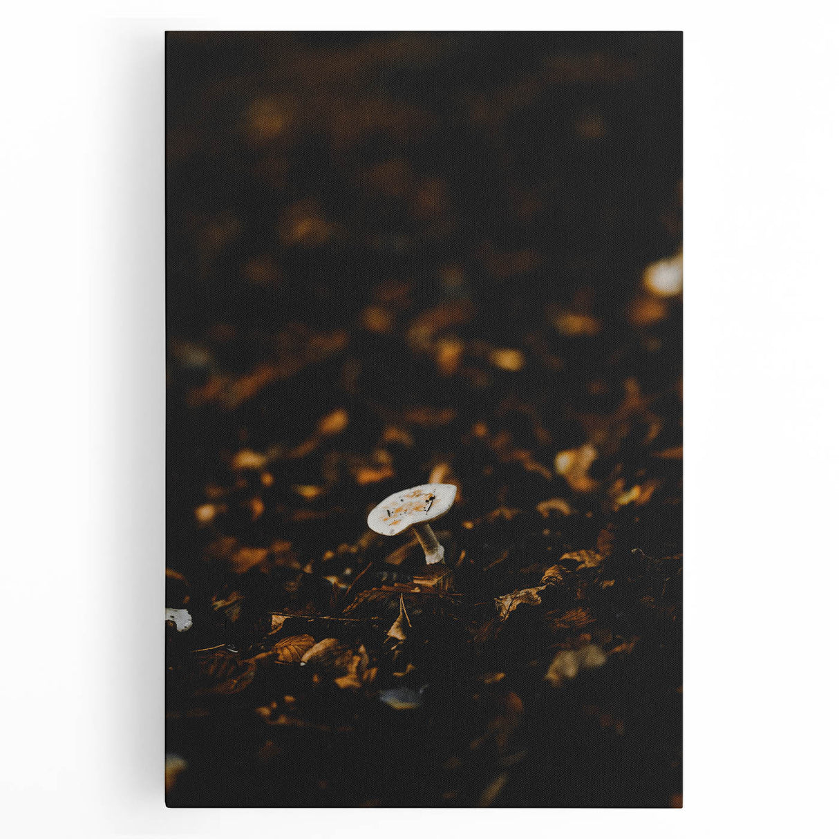 A black and white abstract depiction of fall trees on large stretched canvas, suitable for kitchen wall art.