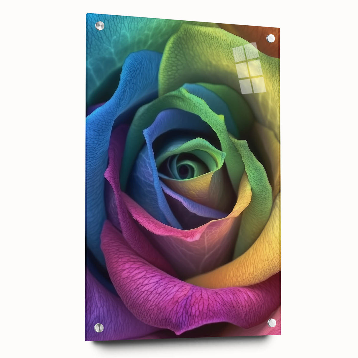 Large abstract wall art depicting close-ups of florals in vibrant colors on acrylic glass.