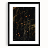 Extra large abstract art print of colorful, textured fall foliage on a black framed canvas, ideal for living room decor.