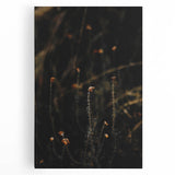 Large black and white stretched canvas of a tree in fall, ideal for kitchen wall art.