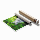 Extra large rolled print of spring floral art in soft pastel shades, ideal for classy bathroom wall art.