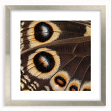 Textured art print featuring abstract close-ups of animals in muted earth tones, framed in silver, ideal for bedroom decor.