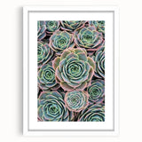 Abstract art print featuring close-up floral designs in soft pastel shades on a white framed mat.