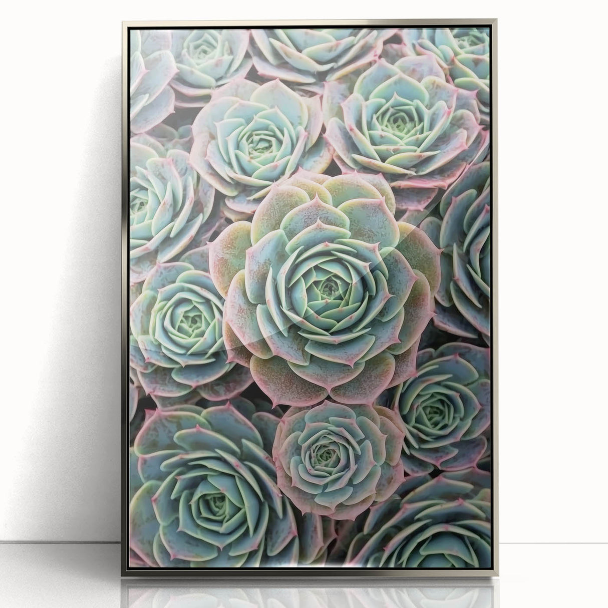 Mid-century modernist art depicting a floral close-up in pastel shades, framed in silver acrylic.