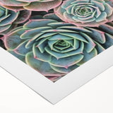 Art deco floral poster in pastel shades on rolled canvas, suitable for dining room or bathroom wall art.