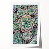 Close-up floral art on rolled print featuring vibrant pink and green tones, suitable for dining room or bathroom wall decor.