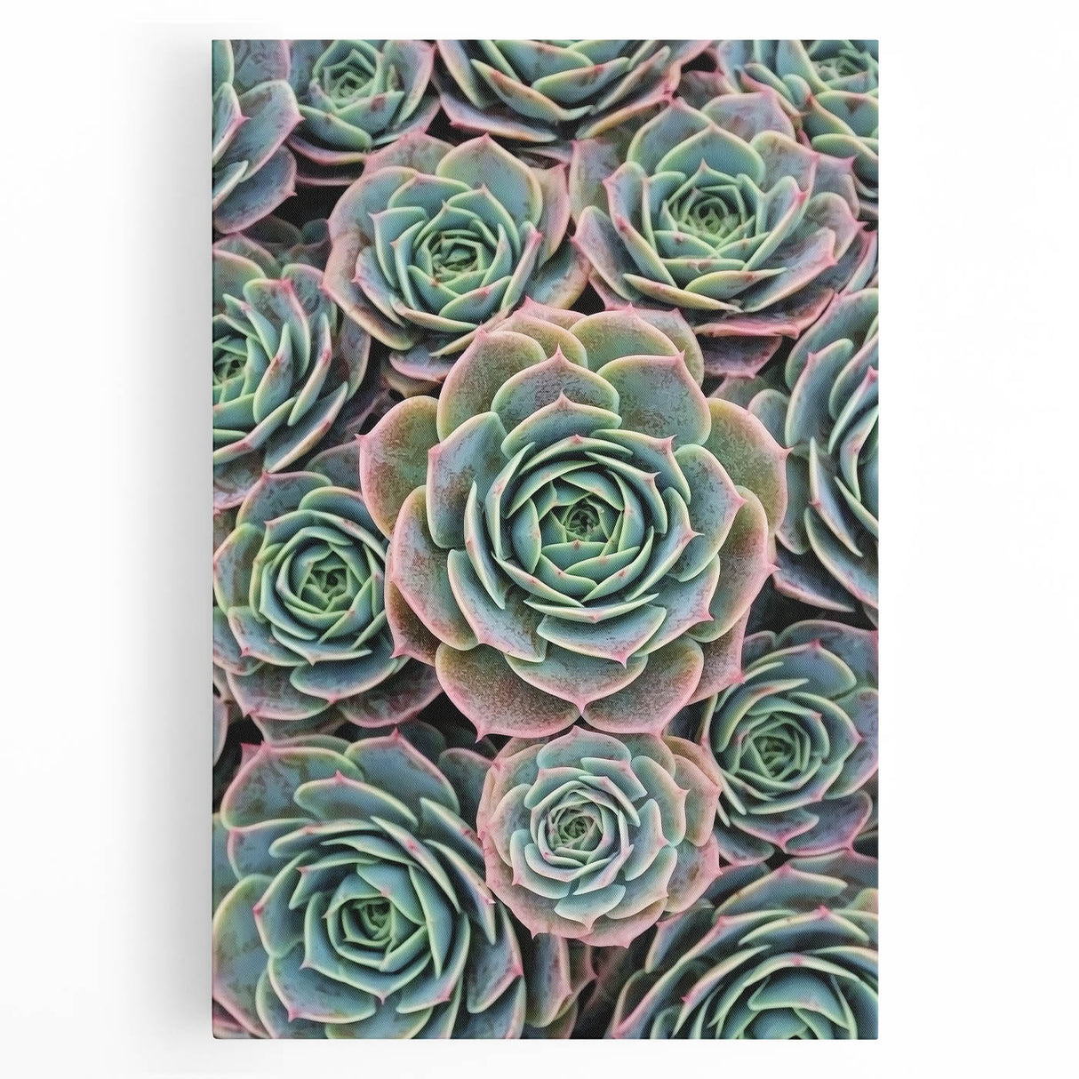 Black and white close-up floral photograph on stretched canvas, ideal for kitchen wall art.