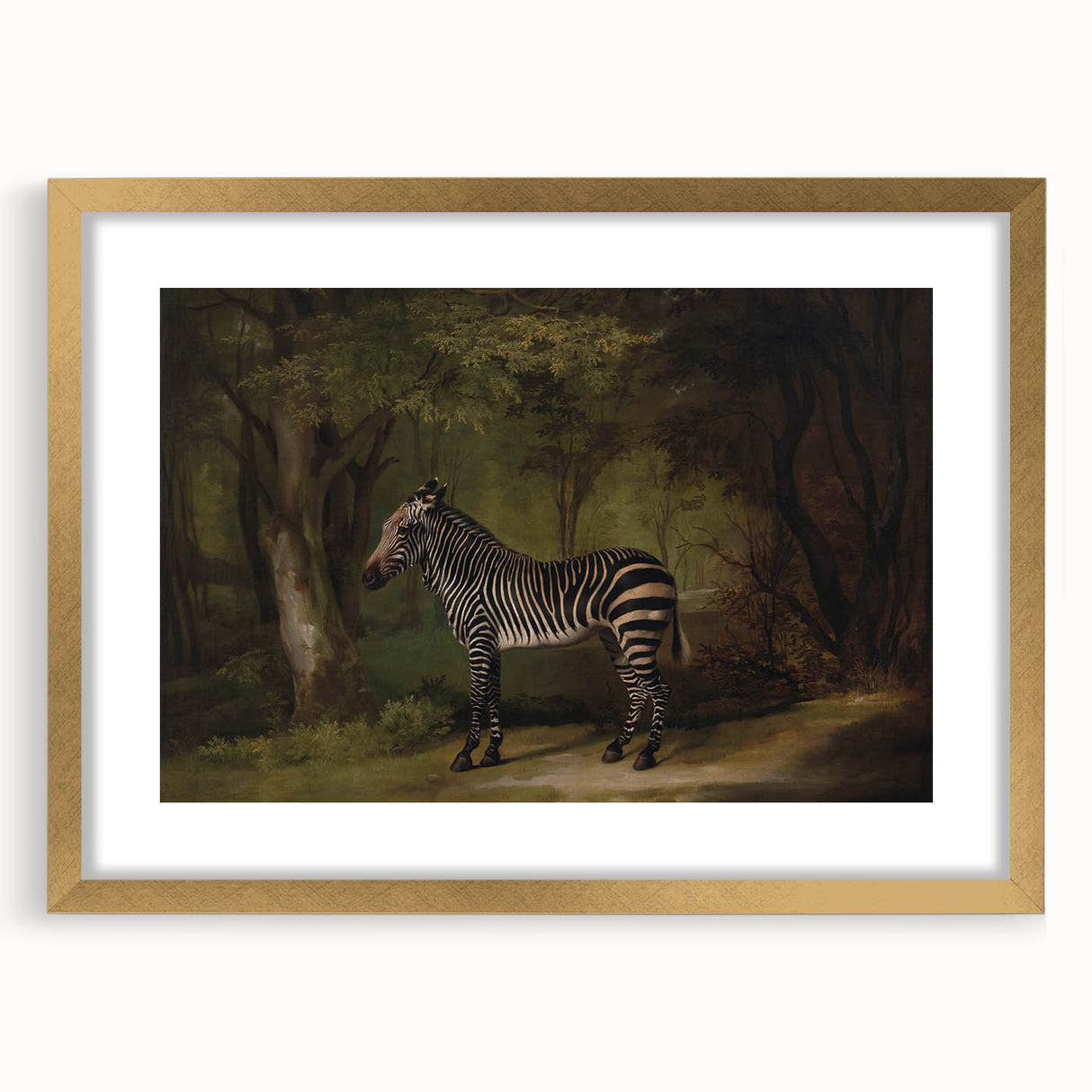 Realism Wildlife Art Print | Zebra in Forest by George Stubbs | Fine Decor