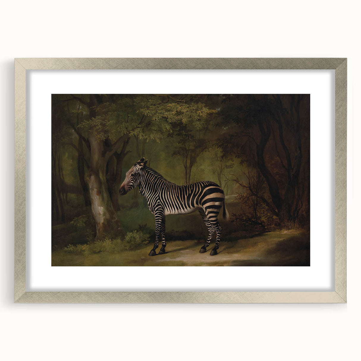 Realism Wildlife Art Print | Zebra in Forest by George Stubbs | Fine Decor